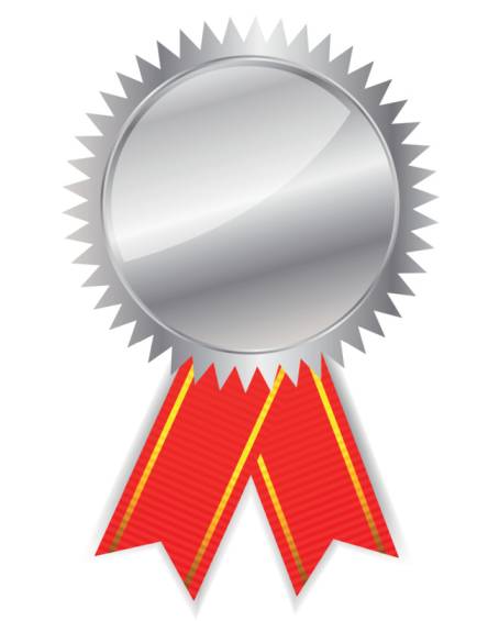 Silver Badge